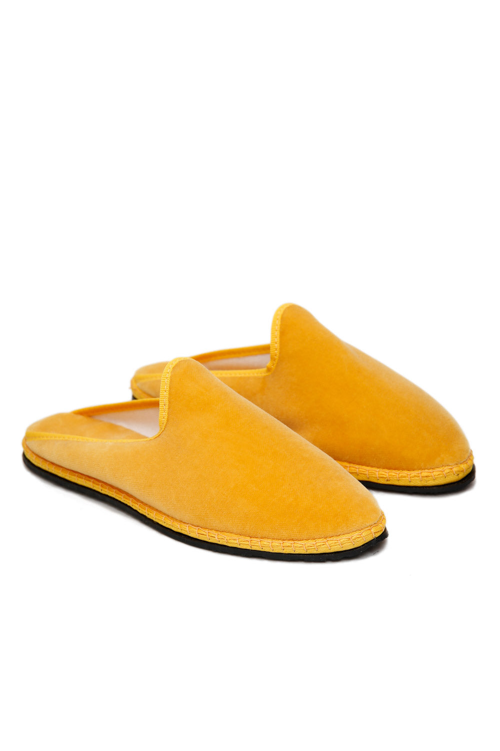 Friulana Papù  Giallo